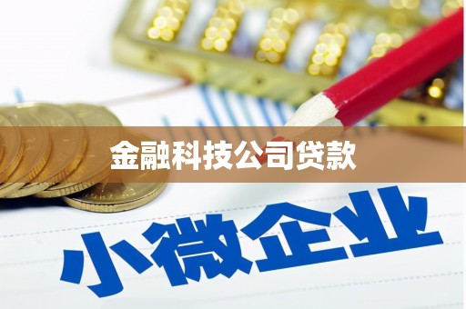 万载金融科技公司贷款
