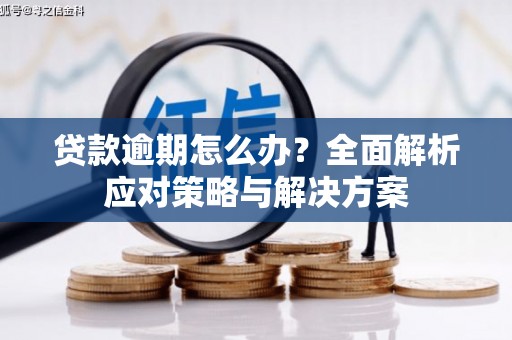 离石贷款逾期怎么办？全面解析应对策略与解决方案