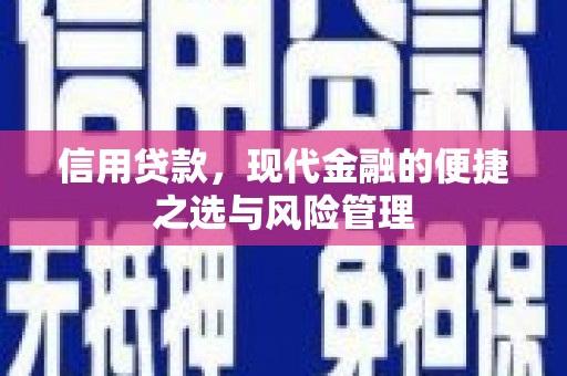 康保信用贷款，现代金融的便捷之选与风险管理