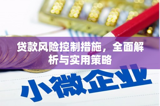岳塘贷款风险控制措施，全面解析与实用策略