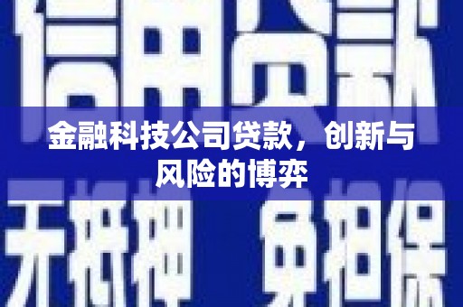 三地门金融科技公司贷款，创新与风险的博弈