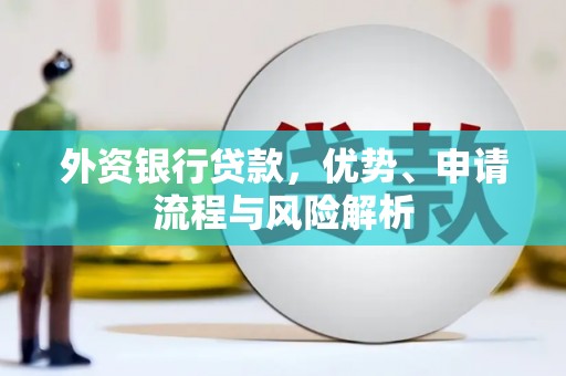 台东外资银行贷款，优势、申请流程与风险解析