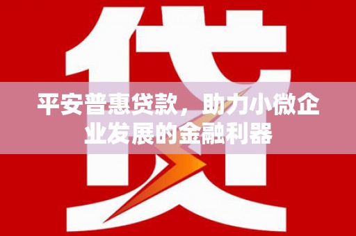 海原平安普惠贷款，助力小微企业发展的金融利器