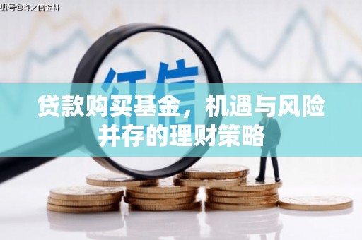 镇平贷款购买基金，机遇与风险并存的理财策略
