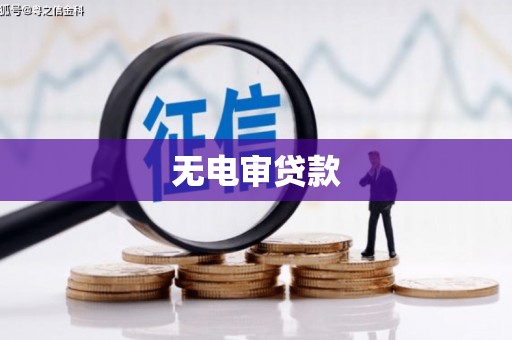 安定无电审贷款