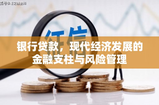 小金银行贷款，现代经济发展的金融支柱与风险管理