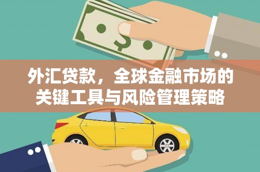 顺平外汇贷款，全球金融市场的关键工具与风险管理策略