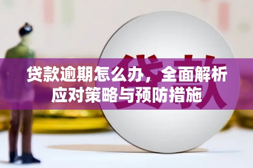 青阳贷款逾期怎么办，全面解析应对策略与预防措施