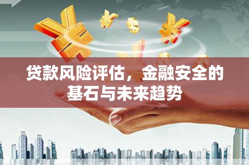 临海贷款风险评估，金融安全的基石与未来趋势