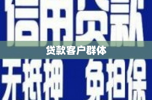 阿莲贷款客户群体