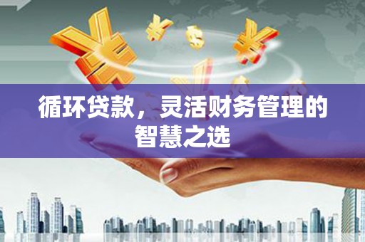 安定循环贷款，灵活财务管理的智慧之选