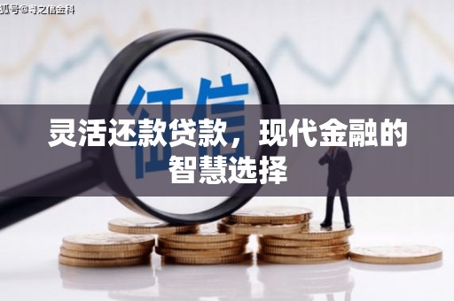 镇巴灵活还款贷款，现代金融的智慧选择