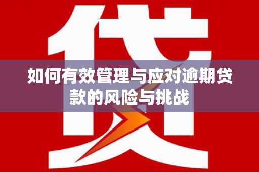 营口如何有效管理与应对逾期贷款的风险与挑战