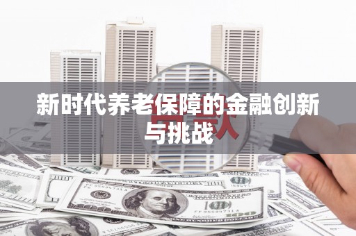 新蔡新时代养老保障的金融创新与挑战