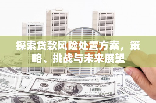 福田探索贷款风险处置方案，策略、挑战与未来展望