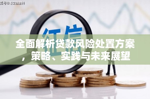 宣汉全面解析贷款风险处置方案，策略、实践与未来展望