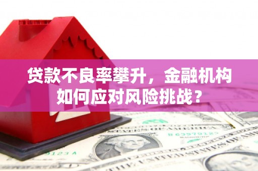 邯山贷款不良率攀升，金融机构如何应对风险挑战？