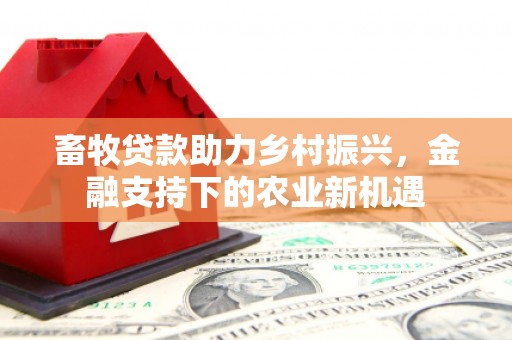 圣安多尼堂区畜牧贷款助力乡村振兴，金融支持下的农业新机遇