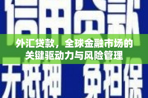定海外汇贷款，全球金融市场的关键驱动力与风险管理