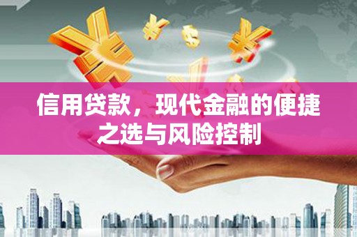 固始信用贷款，现代金融的便捷之选与风险控制