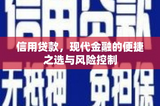 嘉祥信用贷款，现代金融的便捷之选与风险控制