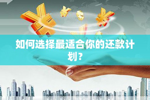 仁怀如何选择最适合你的还款计划？