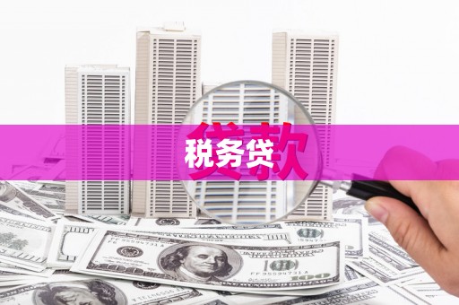 安福税务贷