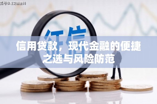 青羊信用贷款，现代金融的便捷之选与风险防范