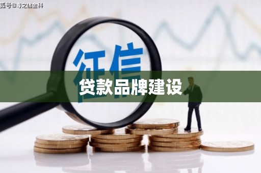 泰山贷款品牌建设