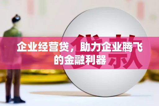 板桥企业经营贷，助力企业腾飞的金融利器