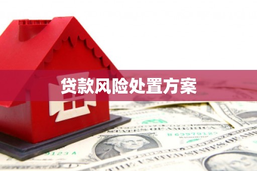 鱼台贷款风险处置方案