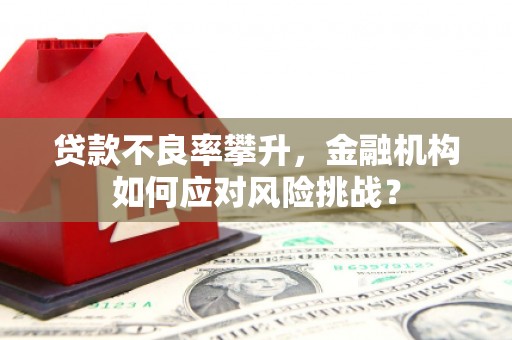 沁源贷款不良率攀升，金融机构如何应对风险挑战？