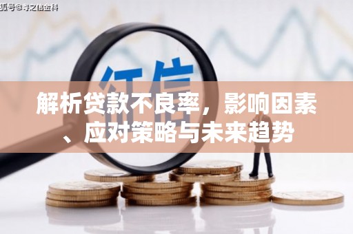 美兰解析贷款不良率，影响因素、应对策略与未来趋势