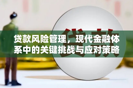 疏勒贷款风险管理，现代金融体系中的关键挑战与应对策略