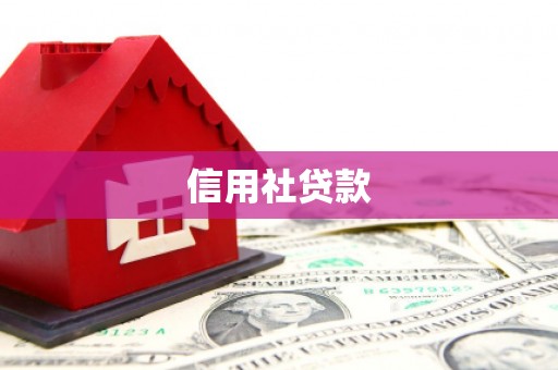 林甸信用社贷款