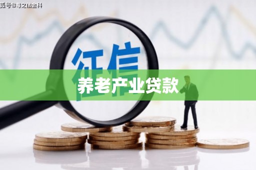 汤原养老产业贷款
