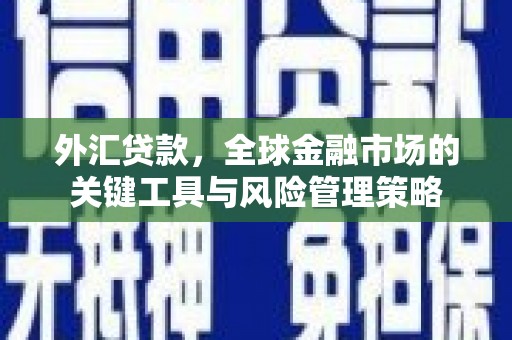 察雅外汇贷款，全球金融市场的关键工具与风险管理策略