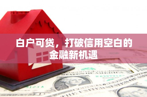 公安白户可贷，打破信用空白的金融新机遇