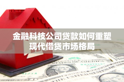 芦淞金融科技公司贷款如何重塑现代借贷市场格局
