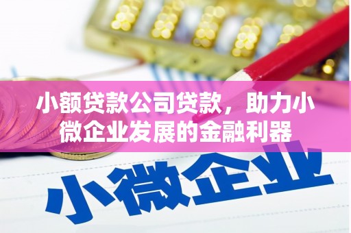 闻喜小额贷款公司贷款，助力小微企业发展的金融利器