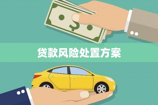 勐海贷款风险处置方案
