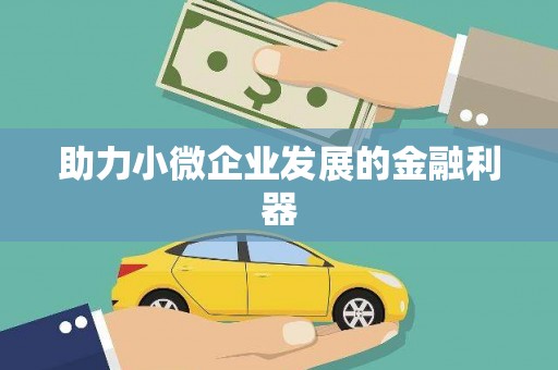 乐东助力小微企业发展的金融利器