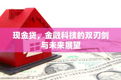 三芝现金贷，金融科技的双刃剑与未来展望