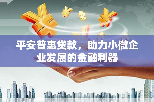 墨江平安普惠贷款，助力小微企业发展的金融利器