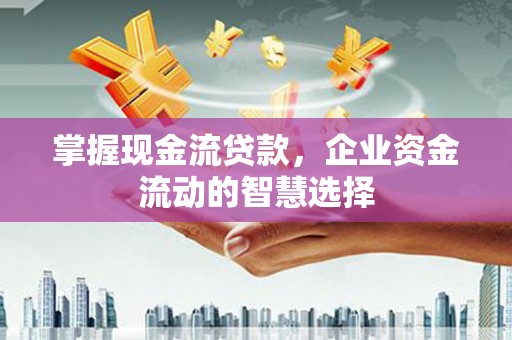 新蔡掌握现金流贷款，企业资金流动的智慧选择
