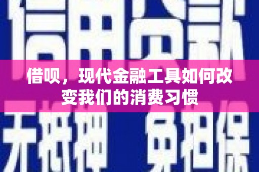 稻城借呗，现代金融工具如何改变我们的消费习惯