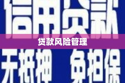 汉川贷款风险管理