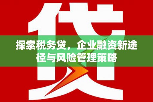 临沭探索税务贷，企业融资新途径与风险管理策略