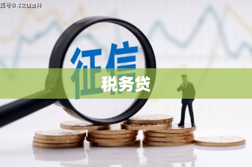 兰屿税务贷