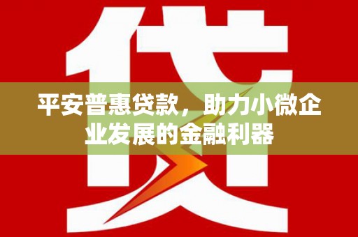 武胜平安普惠贷款，助力小微企业发展的金融利器